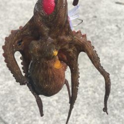 長潮のシーサイド