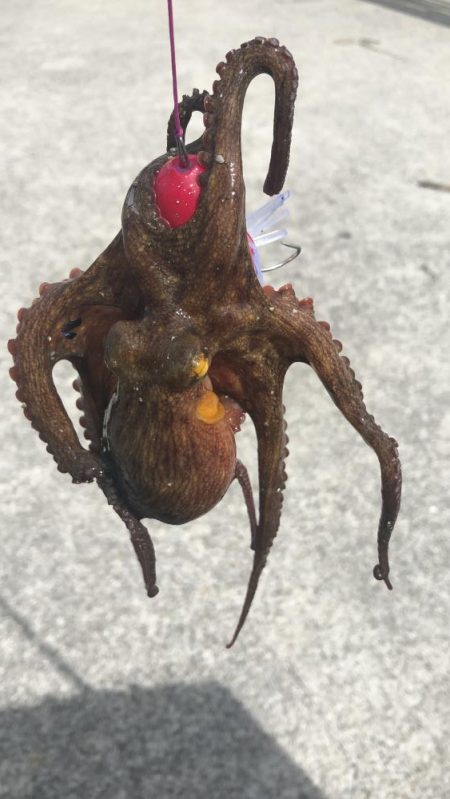 長潮のシーサイド