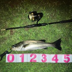 ががっときました。