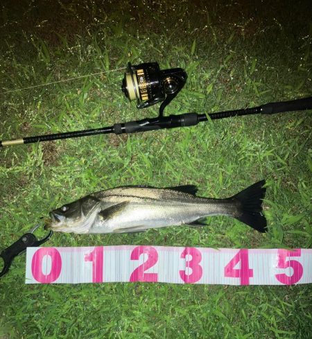 ががっときました。