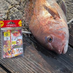 初めてのクエGET!