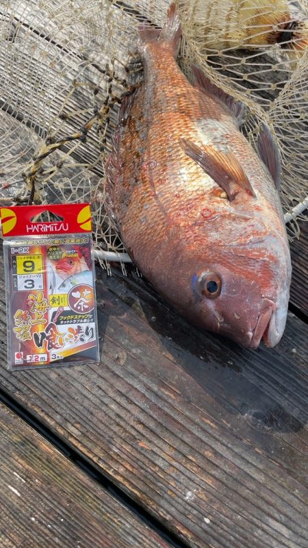 初めてのクエGET!