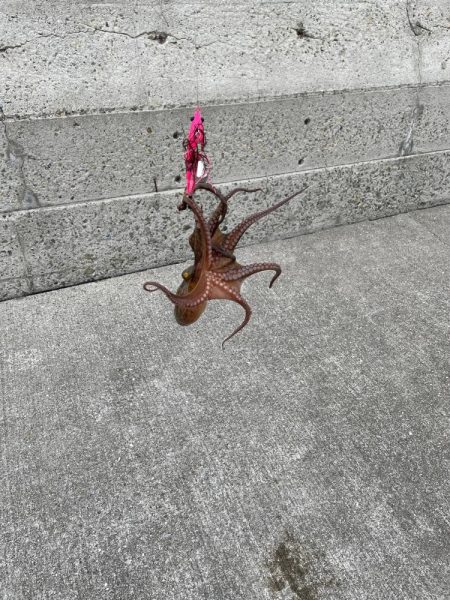 おくとぱっしんぐ