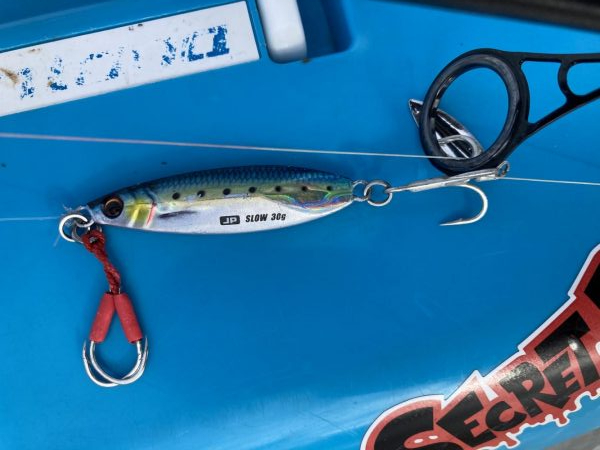 太刀魚を探しに