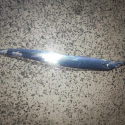 尺アジとタチウオ