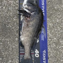 イチノ兄弟、釣果！