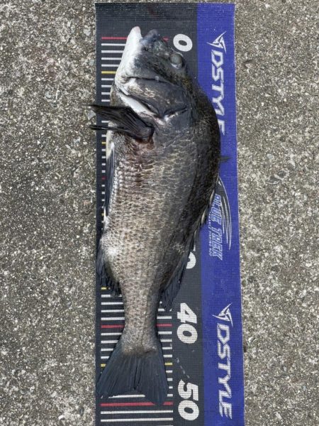 イチノ兄弟、釣果！