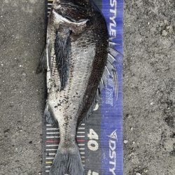 姫路大爆釣‼️