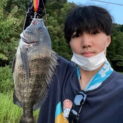 ミノーでクロダイを釣る