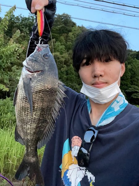 ミノーでクロダイを釣る