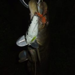 久々のポイントをランガン