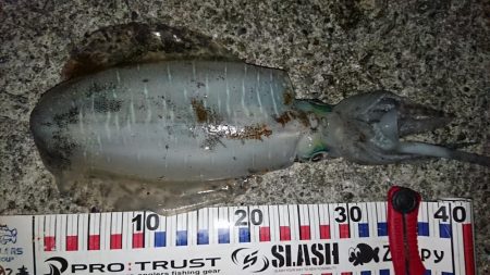 記録更新ならず！