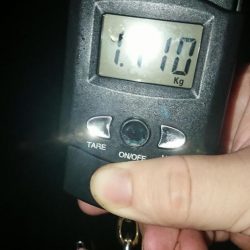 初キロアップ！