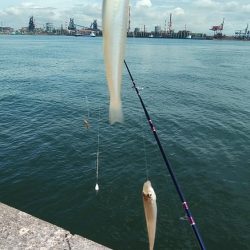 潮が動かない播磨新島