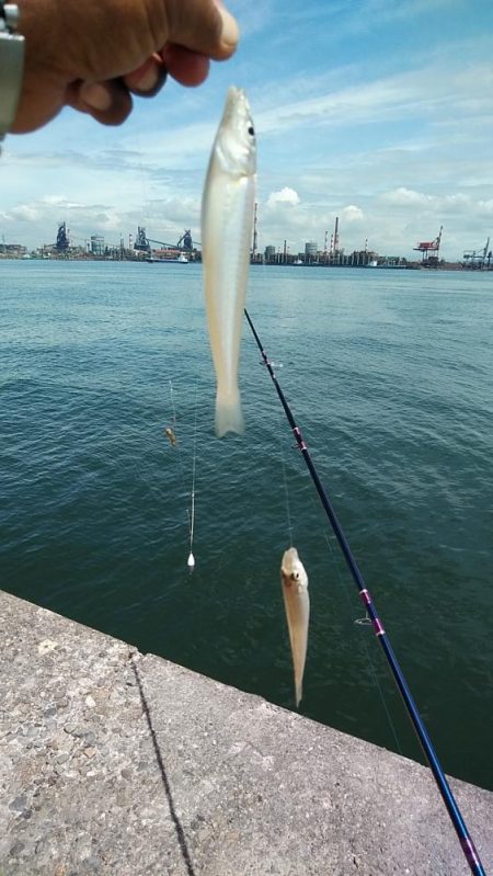 潮が動かない播磨新島