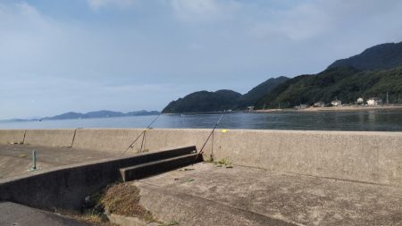 塩焼きサイズのキビレ