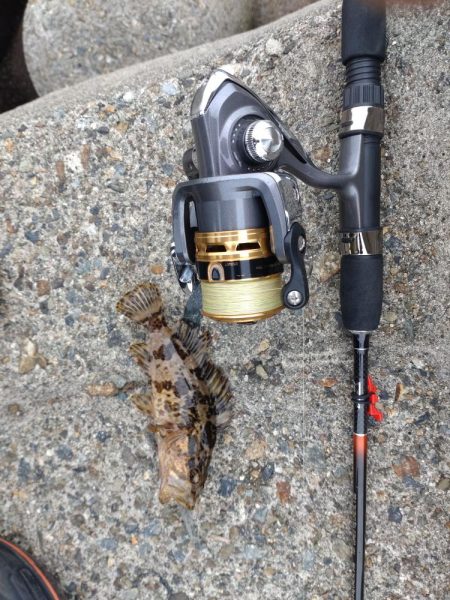 朝マヅメ不発💀