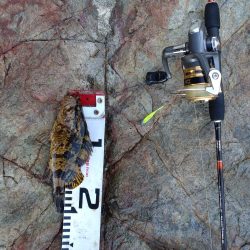 のんびりライトゲーム