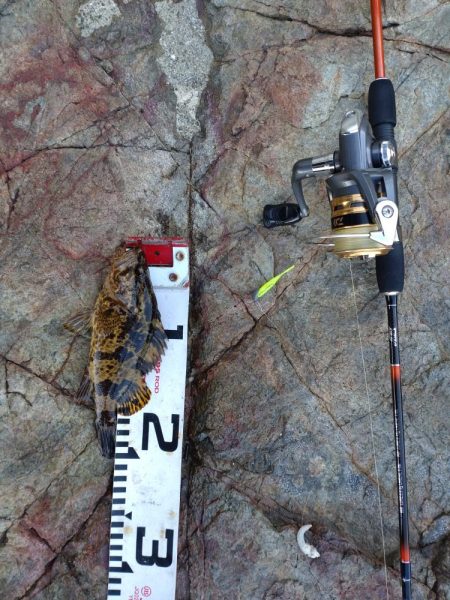 のんびりライトゲーム