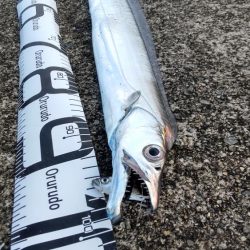 尺のオンパレード