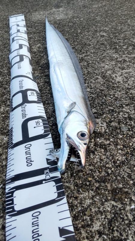 尺のオンパレード