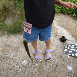 暑い中でのニジマス釣り