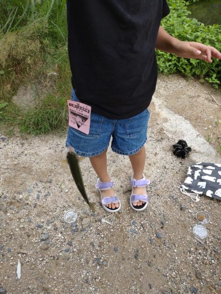 暑い中でのニジマス釣り