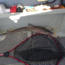 7月最後のタイラバ