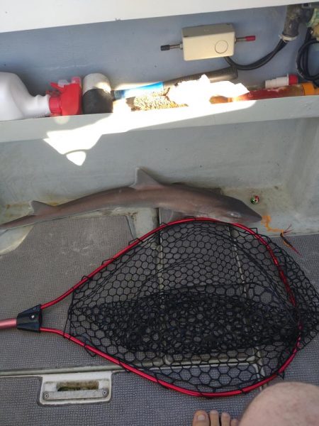 7月最後のタイラバ