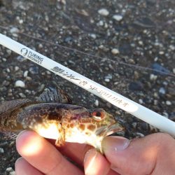 鱒レンジャー入魂