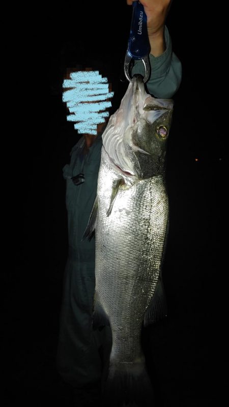 夕まずめのヒラメと夜釣りのシーバス