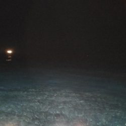 イカメタル&バチコン