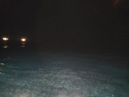 イカメタル&バチコン