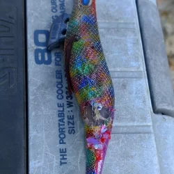 昨日のリベンジ