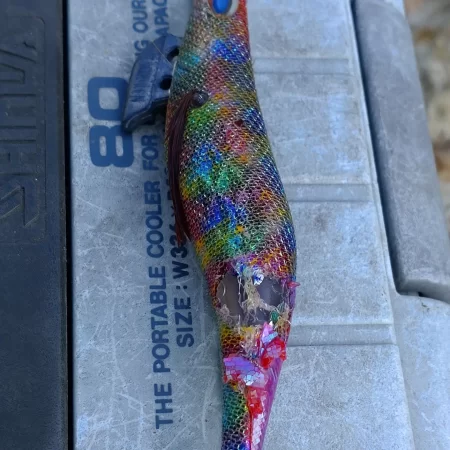 昨日のリベンジ