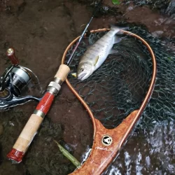 台風に期待するも全く降ってなかった