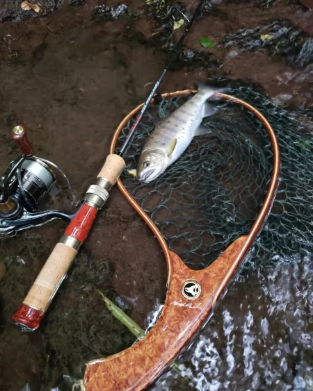 台風に期待するも全く降ってなかった