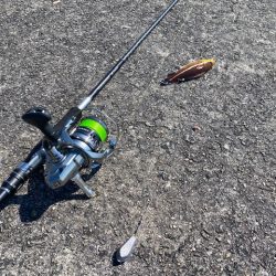 ちょい投げでキス、穴釣りでギンポとカサゴを釣る!!