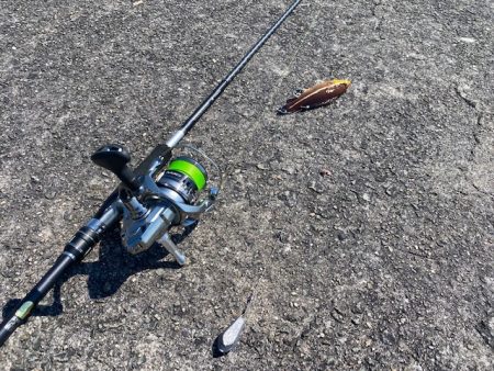 ちょい投げでキス、穴釣りでギンポとカサゴを釣る!!