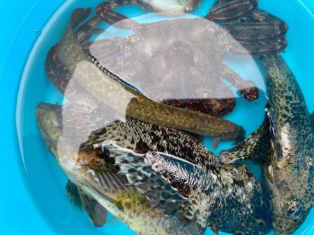 穴釣りでソイの自己記録！！