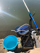 宇曽川コアユ早朝２時間で180匹