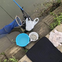 宇曽川濁流で釣果落ちてます