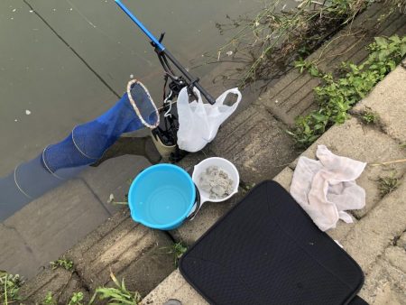 宇曽川濁流で釣果落ちてます