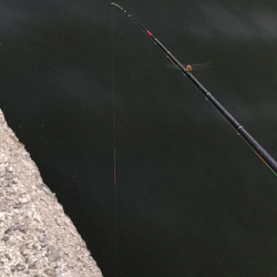 爆バク！はつのツヌケしました！