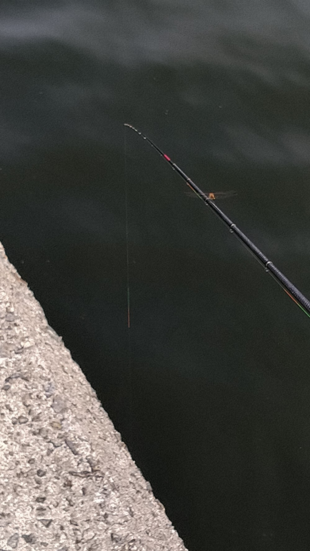 爆バク！はつのツヌケしました！