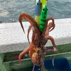 淡路沖船タコ🐙