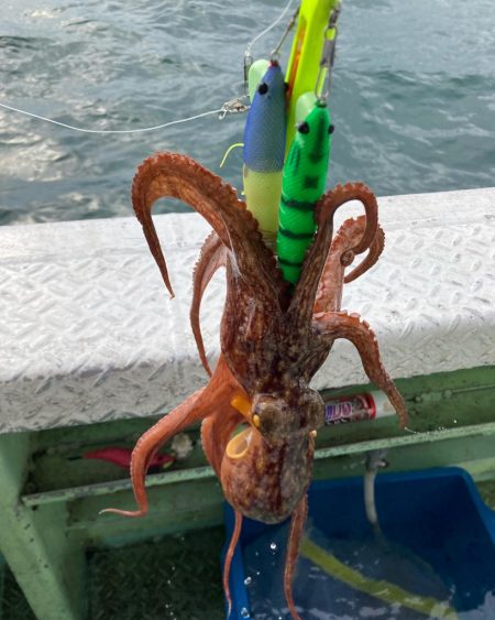 淡路沖船タコ🐙