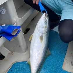 ジグパラでジギング！