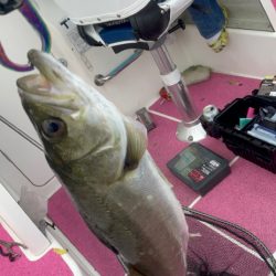 またもや渋々(苦笑)