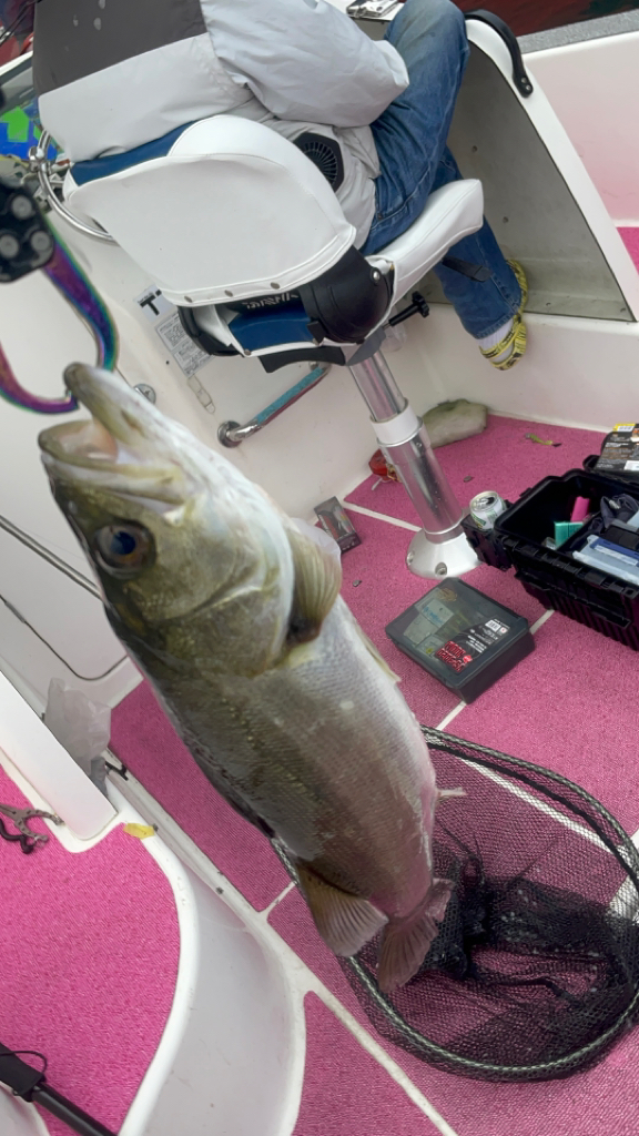 またもや渋々(苦笑)